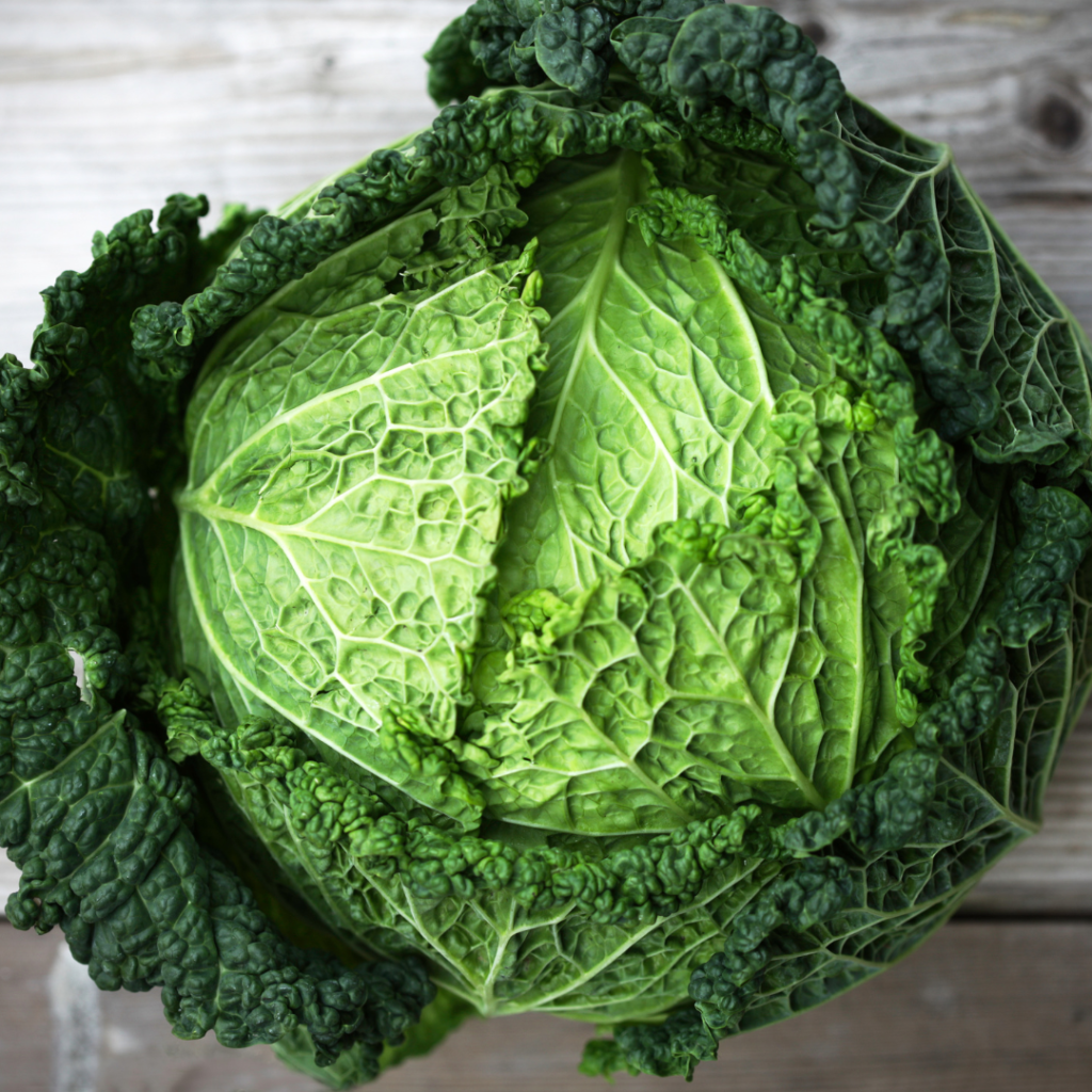 a closeup image of a savoy cabbage, full of texture and shades of green, on a cutting board.

